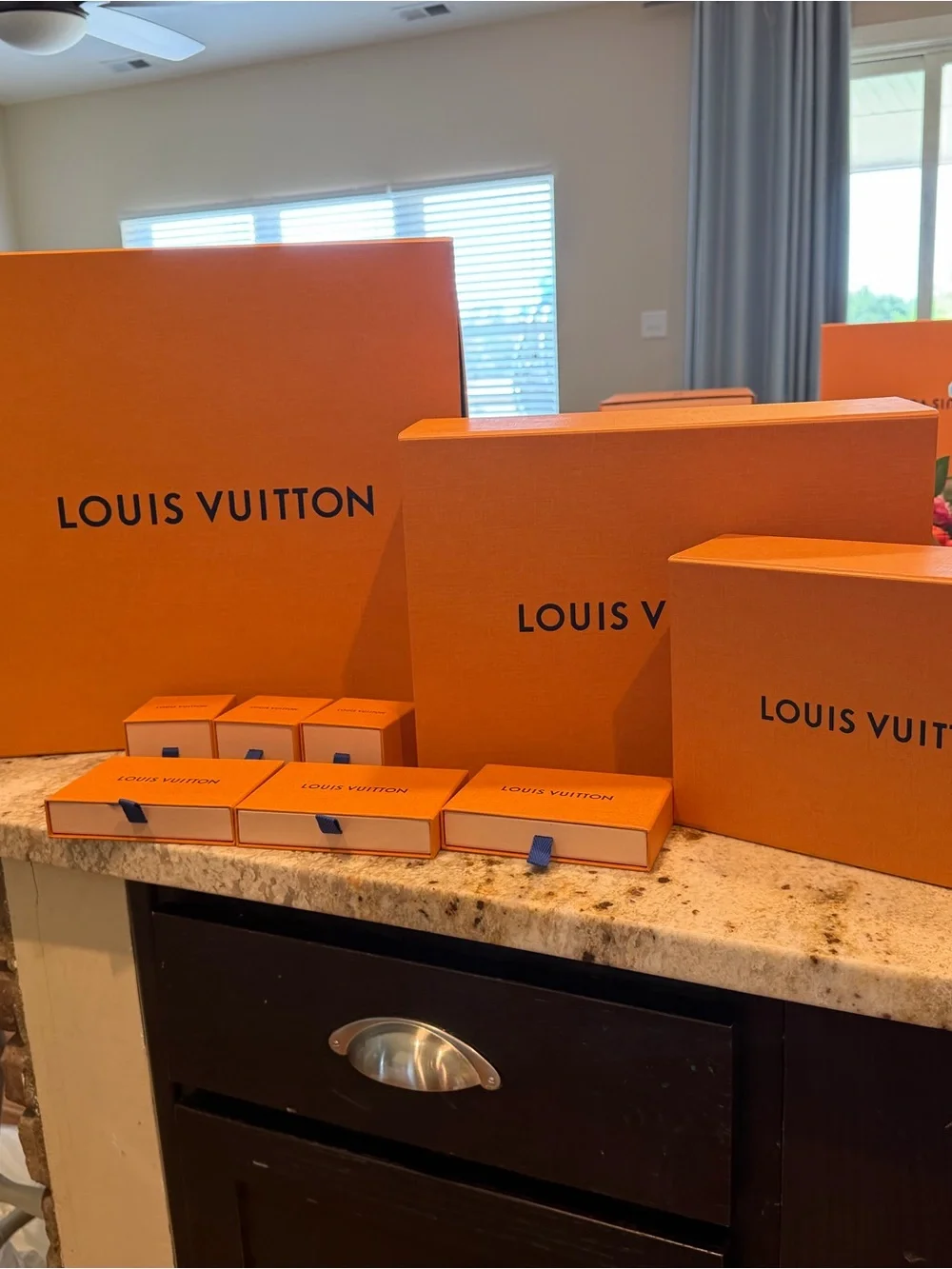 Louis Vuitton group louis